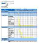 Annual Work Plan Excel gratis en premium templates