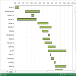 Vorschaubild der VorlageExcel Timeline