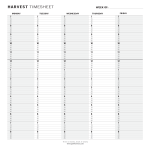 Daily Project Timeline Excel gratis en premium templates