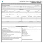 Credit Application Form For Business Loan gratis en premium templates
