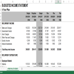 template topic preview image Budgeted Income Statement Excel