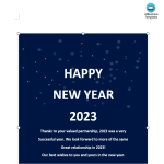 New Year Wishes Email gratis en premium templates