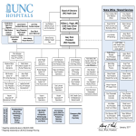 template topic preview image Large Hospital Organizational Chart