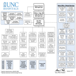 Large Hospital Organizational Chart gratis en premium templates