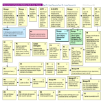 Recruitment And Selection Workflow Chart gratis en premium templates