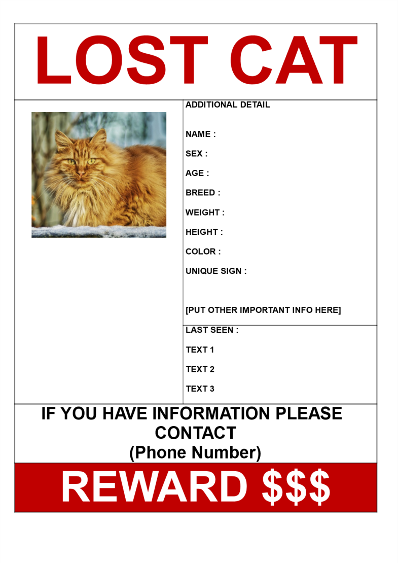 template topic preview image Find Missing Cat Poster with Reward Template