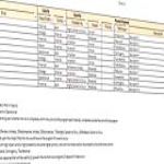 image Risk Management Log Matrix Template