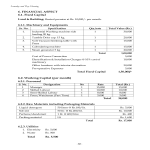 Vorschaubild der VorlageLaundry Business Project Report