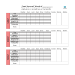 template topic preview image Food Journal Excel