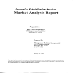 Analysis Report gratis en premium templates