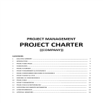 Project Charter gratis en premium templates