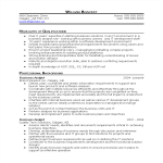 Resume for a Business Analyst gratis en premium templates