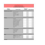 Wedding Budget Excel gratis en premium templates