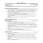 Business Analyst IT Resume Sample gratis en premium templates