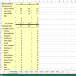 template topic preview image Cash Flow Budget Excel template