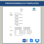 template topic preview image Professionele Curriculum Vitae