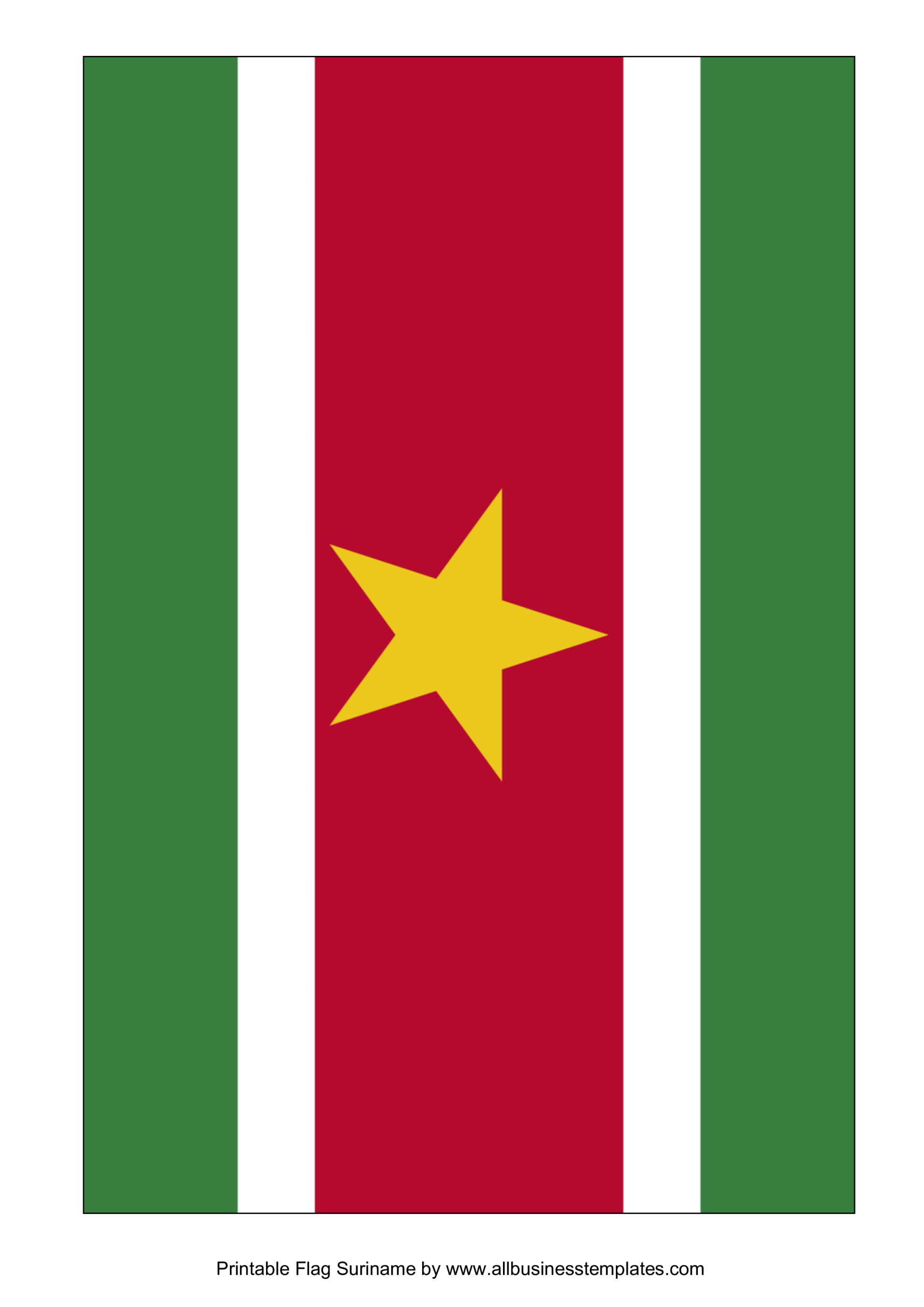 template preview imageSuriname Printable Flag