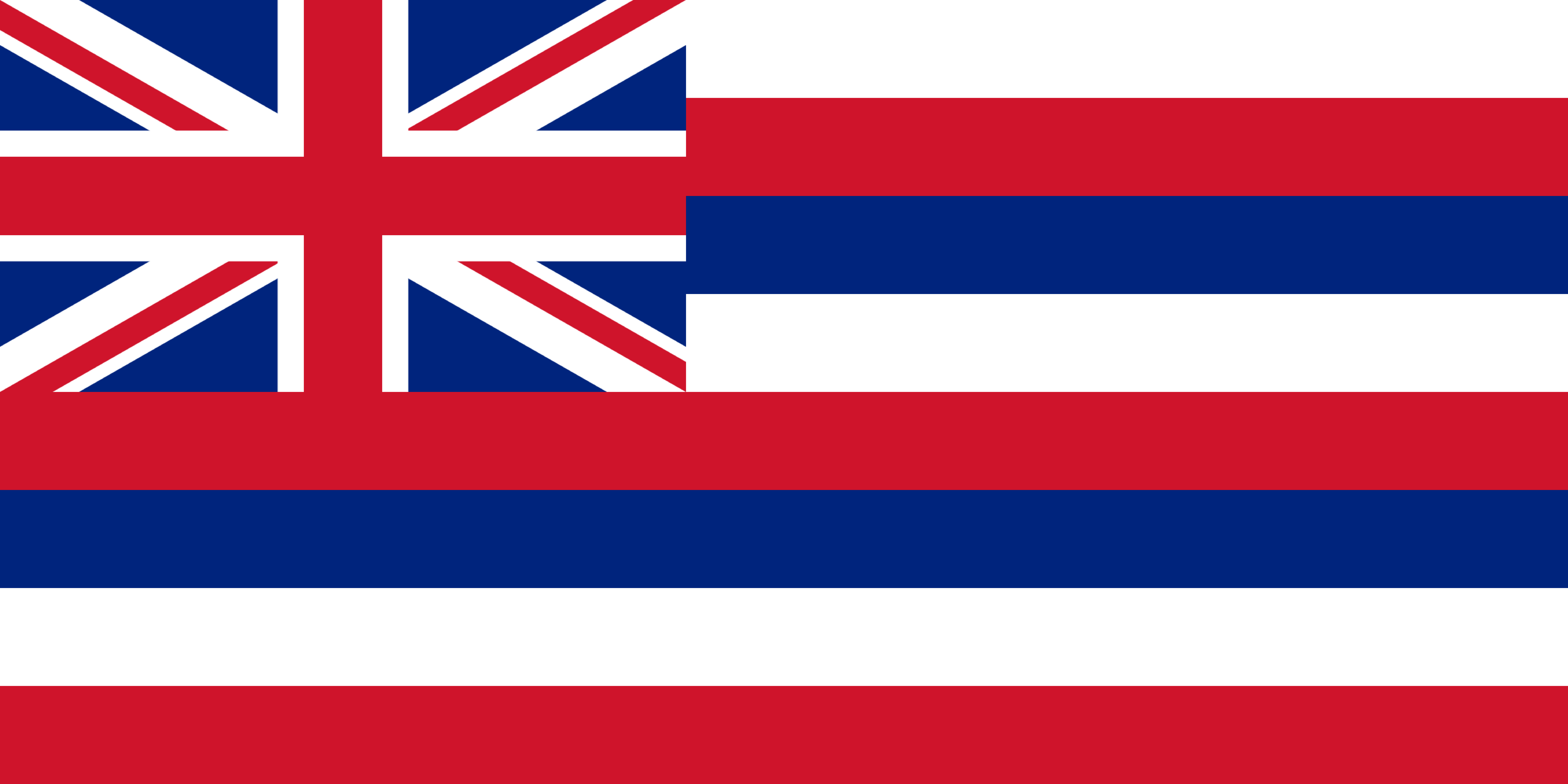 Hawaii Flag Printable.pdf gratis en premium templates