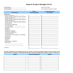 Report Project Budget PDF Form gratis en premium templates