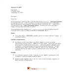 Standard Employment Offer Letter gratis en premium templates