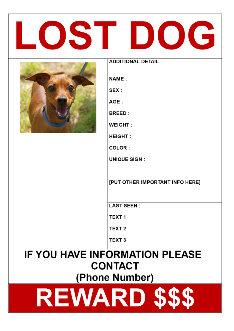 Find lost dog get reward poster A3 gratis en premium templates