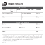 Pet Death Certificate gratis en premium templates