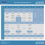 In House Group Therapy Schedule gratis en premium templates