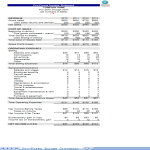 Pro Forma Income Statement Excel Format gratis en premium templates