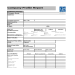 template topic preview image Business Company
