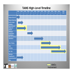 Project Management High Level Timeline gratis en premium templates