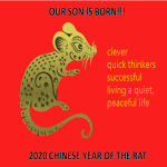Year Of The Rat Poster Son is Born gratis en premium templates
