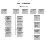 Risk Management Organizational Chart gratis en premium templates