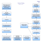 template topic preview image Basic Training Flow Chart