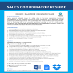 template topic preview image Sales And Marketing Coordinator Resume