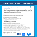 Sales And Marketing Coordinator Resume gratis en premium templates