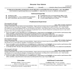 template preview imageIT Resume Example