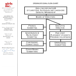 Organizational Chart gratis en premium templates