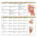 template topic preview image Body Muscle