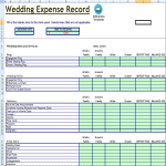 Wedding Expense Budget Record gratis en premium templates