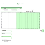 Expense report template Excel worksheet gratis en premium templates