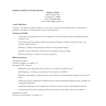 Banking Compliance Analyst Resume gratis en premium templates