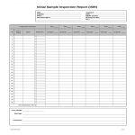 Sample Initial Inspection gratis en premium templates