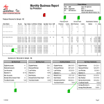 template preview imageMonthly Business Report