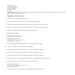 template topic preview image Retail Sales Executive CV Sample