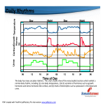 template topic preview image Monthly Work Shift Schedule