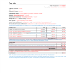 Company Employee Pay Slip gratis en premium templates