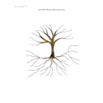 Tree Mind Map gratis en premium templates