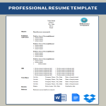 Vorschaubild der VorlageProfessional Resume Form Template