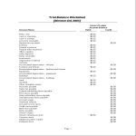Trial Balance Sheet gratis en premium templates