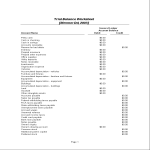 template topic preview image Trial Balance Sheet